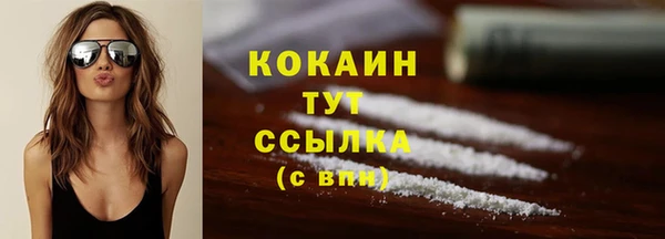 ПСИЛОЦИБИНОВЫЕ ГРИБЫ Баксан