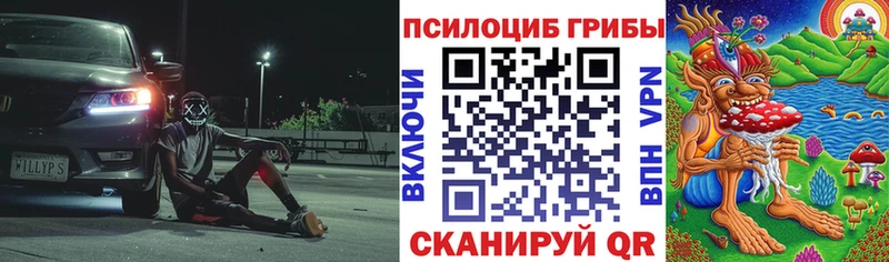 Псилоцибиновые грибы GOLDEN TEACHER  МЕГА сайт  Балтийск 