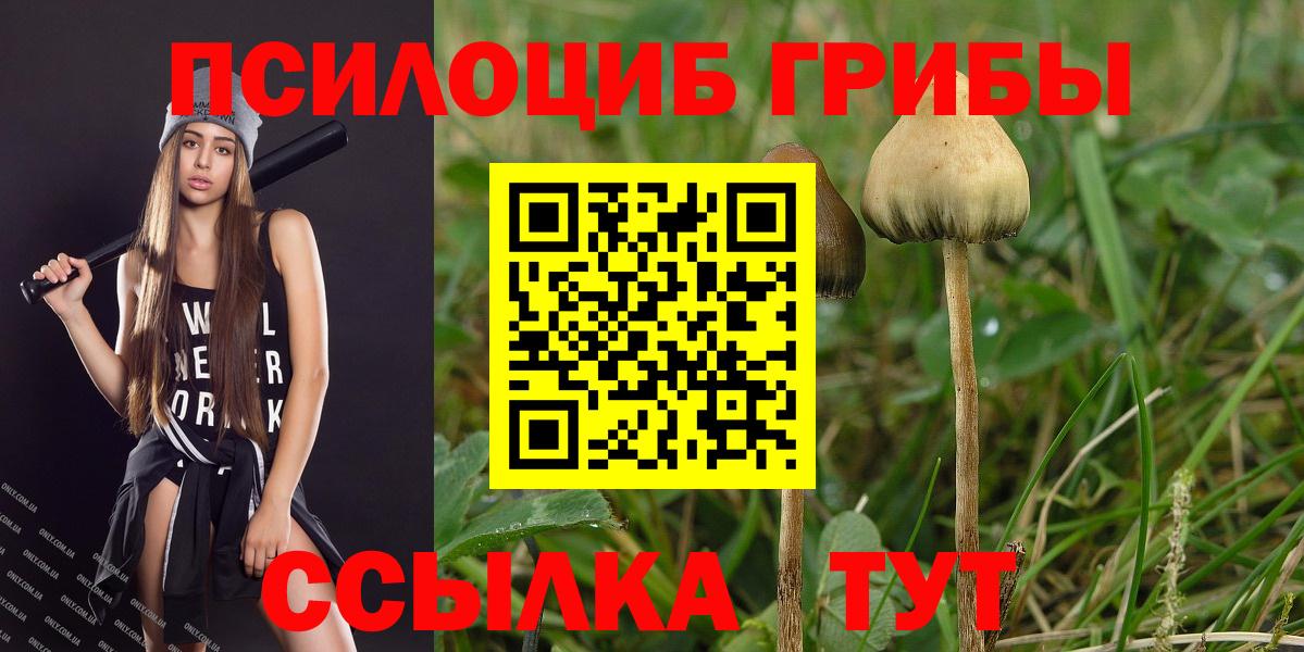 Галлюциногенные грибы мухоморы Балтийск